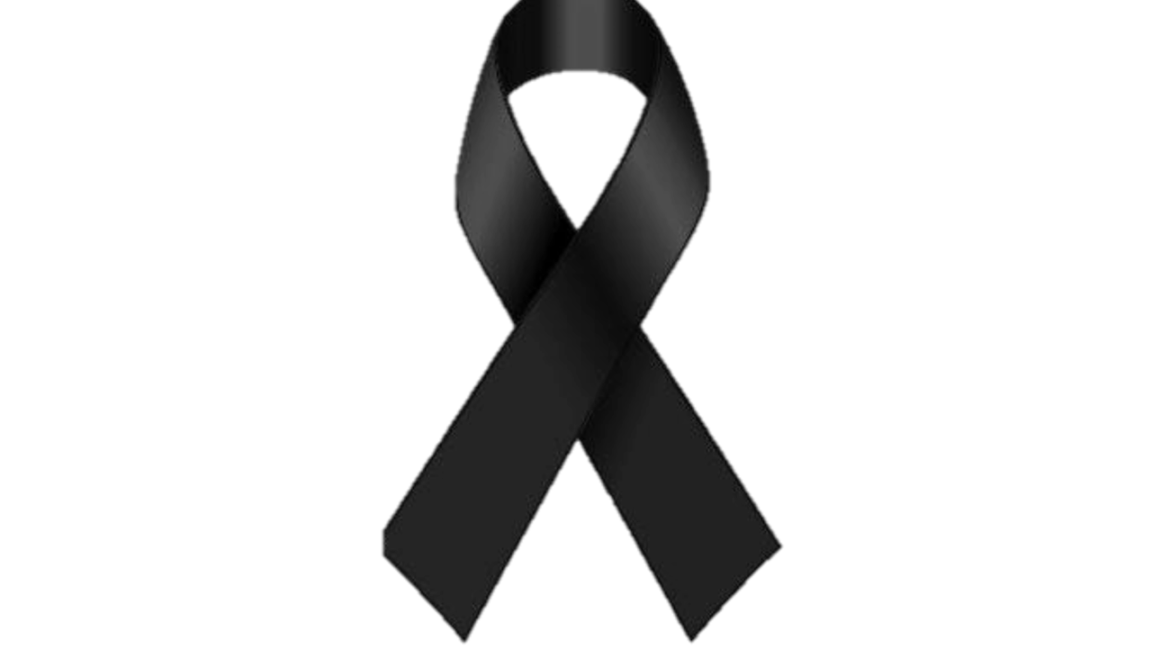 Sito web